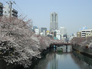 ファイル 31-1.jpg